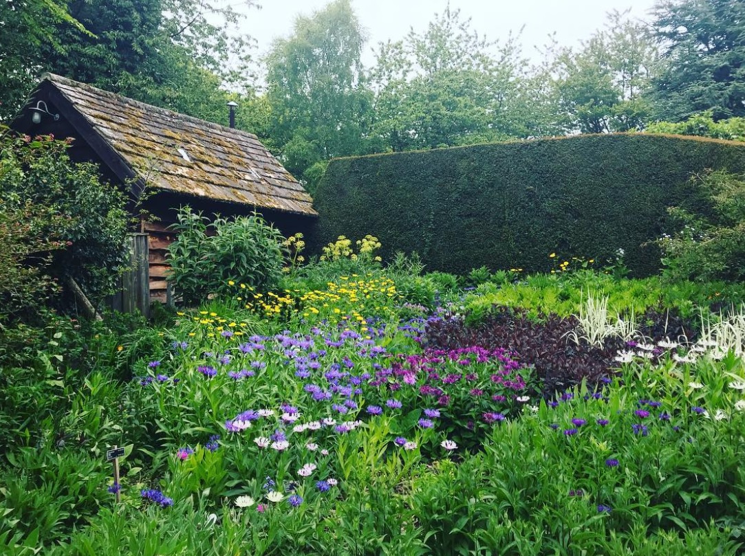Photo - courtesy of Swiss Garden