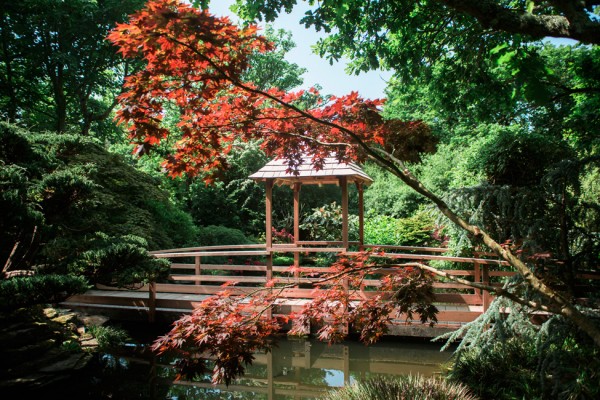 Japanese Garden Cornwall