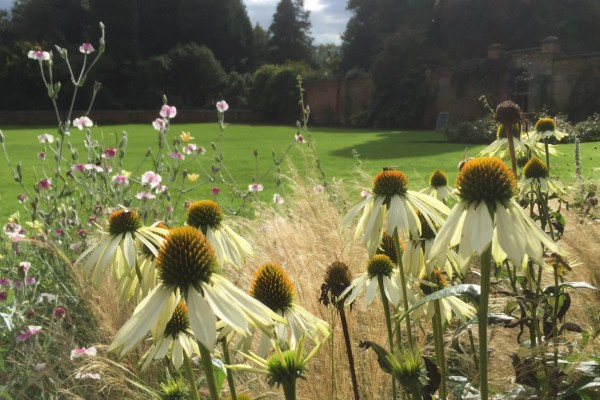Hare Hill Garden