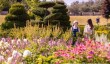Windsor-castle-venus-garden.jpg
