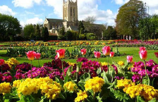 Abbey Gardens in Bury St Edmunds