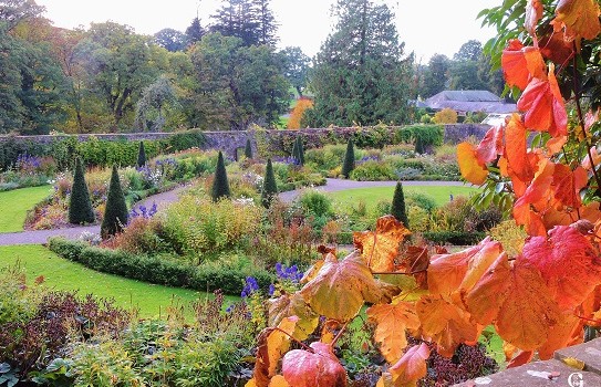 Aberglasney Gardens Aberglasney Gardens