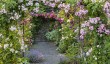 aberglasney-rose-arbour.jpg