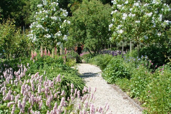 Achamore Gardens