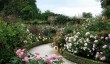 alnwick-rose-garden.jpg