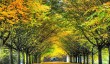 anglesey-abbey-autumn.jpg