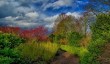 anglesey-abbey-winter-garden.jpg