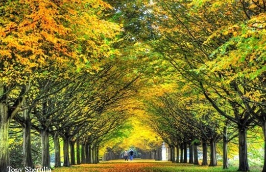 Anglesey Abbey Gardens in Autumn Anglesey Abbey Gardens in Autumn