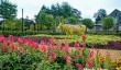 antrim-castle-garden.jpg