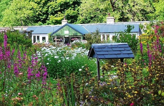 A view of the restaurant from the Walled Garden at Applecross A view of the restaurant from the Walled Garden at Applecross