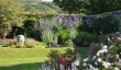 ardchattan-summer.jpg