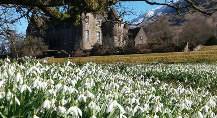 Ardkinglas Woodland Snowdrops