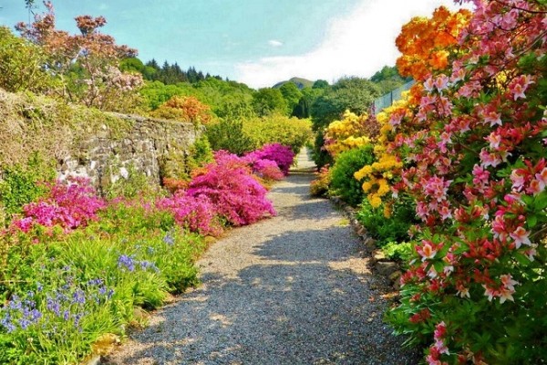 Ardmaddy Castle Garden