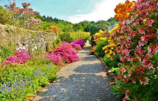 Ardmaddy Castle Garden