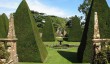 athelhampton_house_garden.jpg