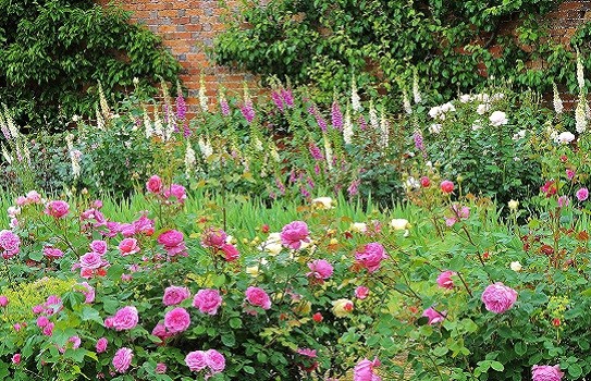 Badminton House Gardens Badminton House Gardens