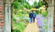 barrington-court-garden.jpg