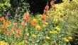 bates-green-garden-border.jpg