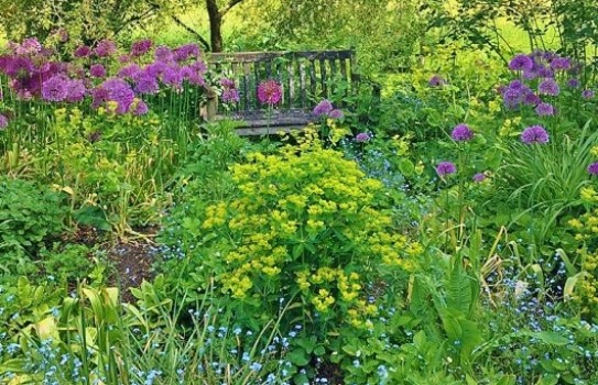 Bates Green Garden Bates Green Garden