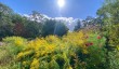 bath-botanic-gardens.jpg