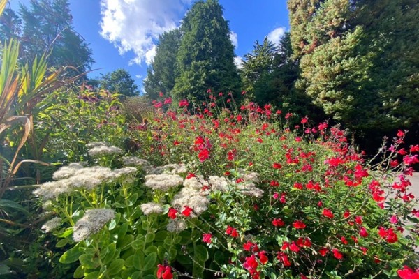 Bath Botanical Gardens