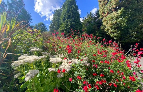 Bath Botanical Gardens Bath Botanical Gardens