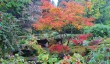 batsford-arboretum-october.jpg