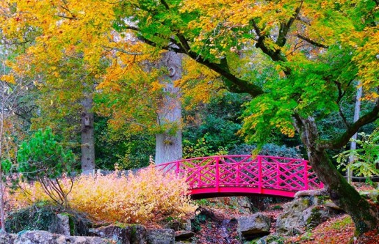 Batsford Arboretum Autumn