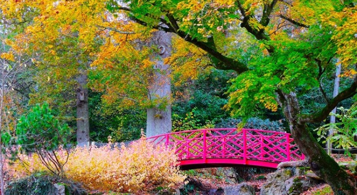 Batsford Arboretum Autumn
