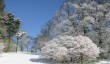 batsford_in_winter.jpg