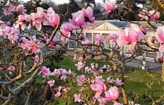 Beautiful garden in Devon Bicton Park