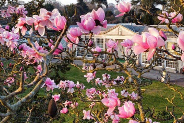 Beautiful garden in Devon Bicton Park