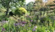 beautiful-gardens-cornwall.jpg