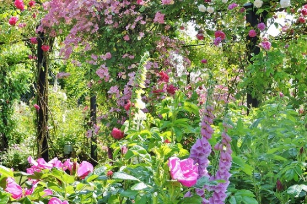 Beautiful gardens in Norfolk