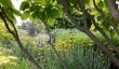 beautiful-gardens-sussex.jpg