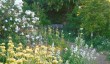 beautiful-gardens.jpg