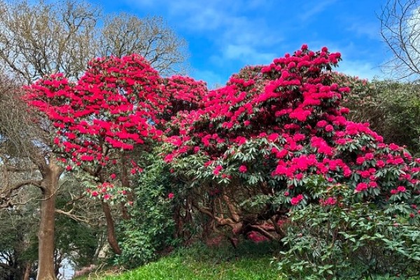 Beautiful Places to visit in Cornwall