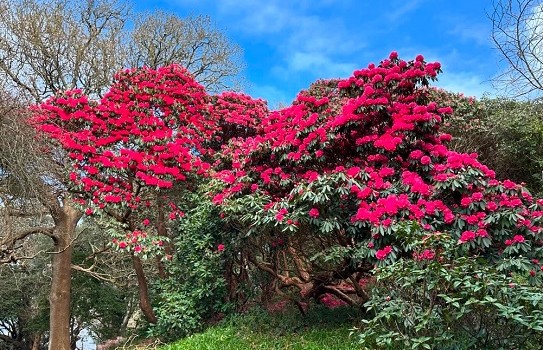 Beautiful Places to visit in Cornwall