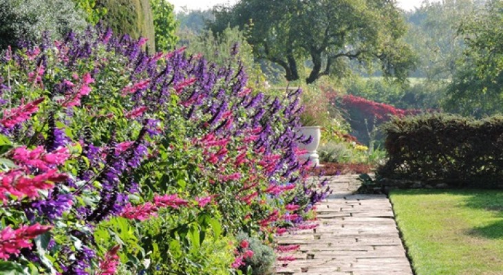 Great Chalfield Manor Garden