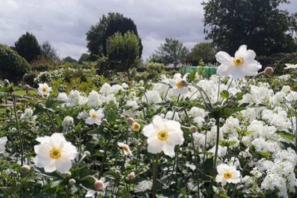 Belmont House & Gardens, Faversham