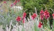 beningbrough-hall-gardens.jpg