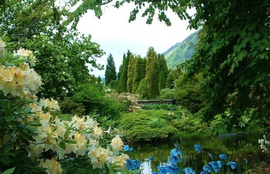 Benmore Botanic Garden Benmore Botanic Garden