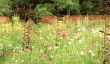 benton-end-garden-2.jpg