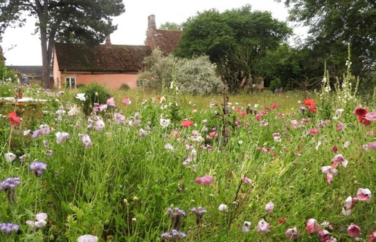 Benton End Garden Benton End Garden