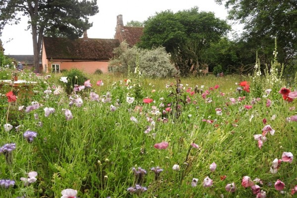 Benton End Garden