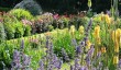 best-gardens-cornwall.jpg