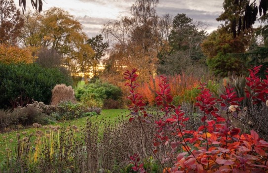Beth Chatto Gardens Autumn Beth Chatto Gardens Autumn
