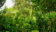 beth-chatto-garden-1.jpg