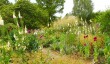 beth-chatto-garden-3.jpg