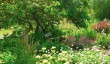 beth-chatto-garden-4.jpg